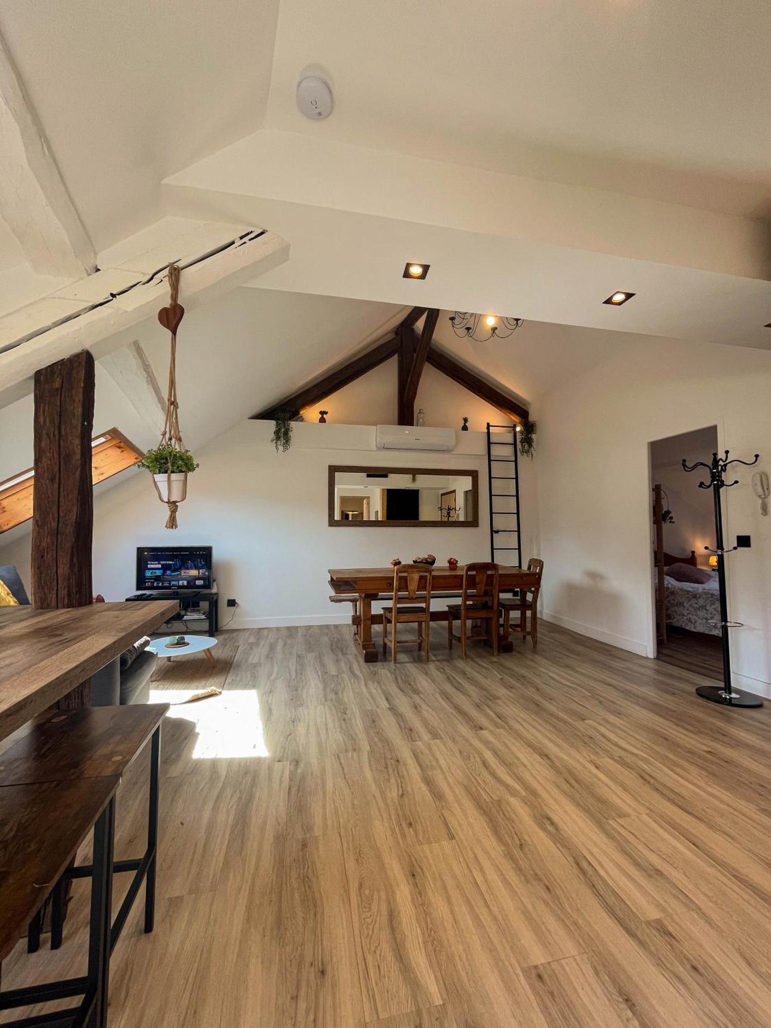 Ferienwohnung Cocon Sous Les Toits Albertville Exterior foto