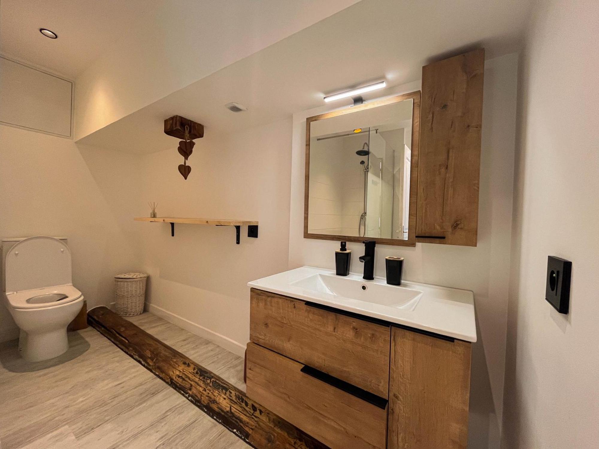 Ferienwohnung Cocon Sous Les Toits Albertville Exterior foto